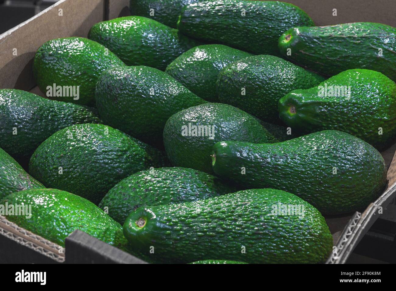 Fresh avocados on the vegetable market top view. Healthy food concept. High quality photo Stock Photo