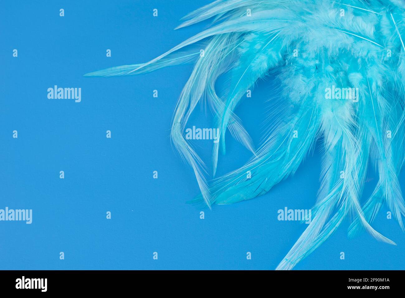 blue background with feather texture in light blue green embossed Stock Photo