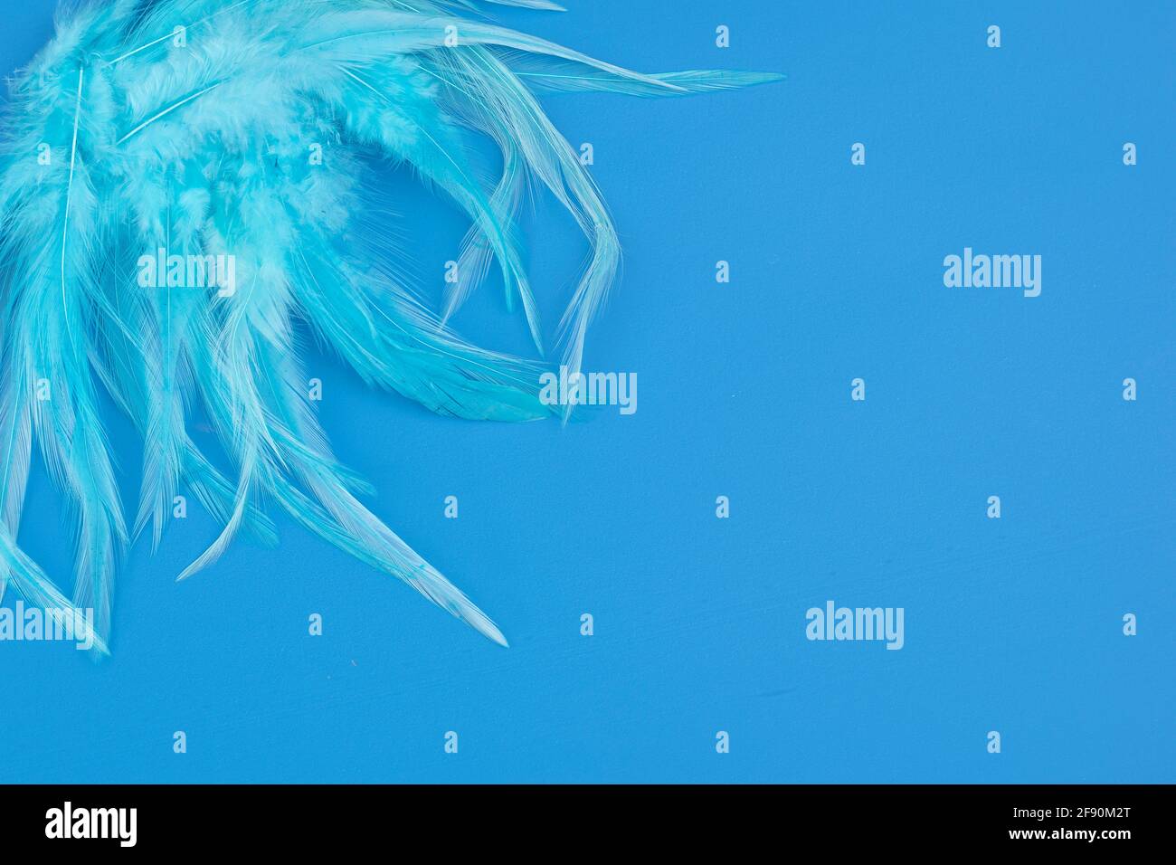blue background with feather texture in light blue green embossed Stock Photo