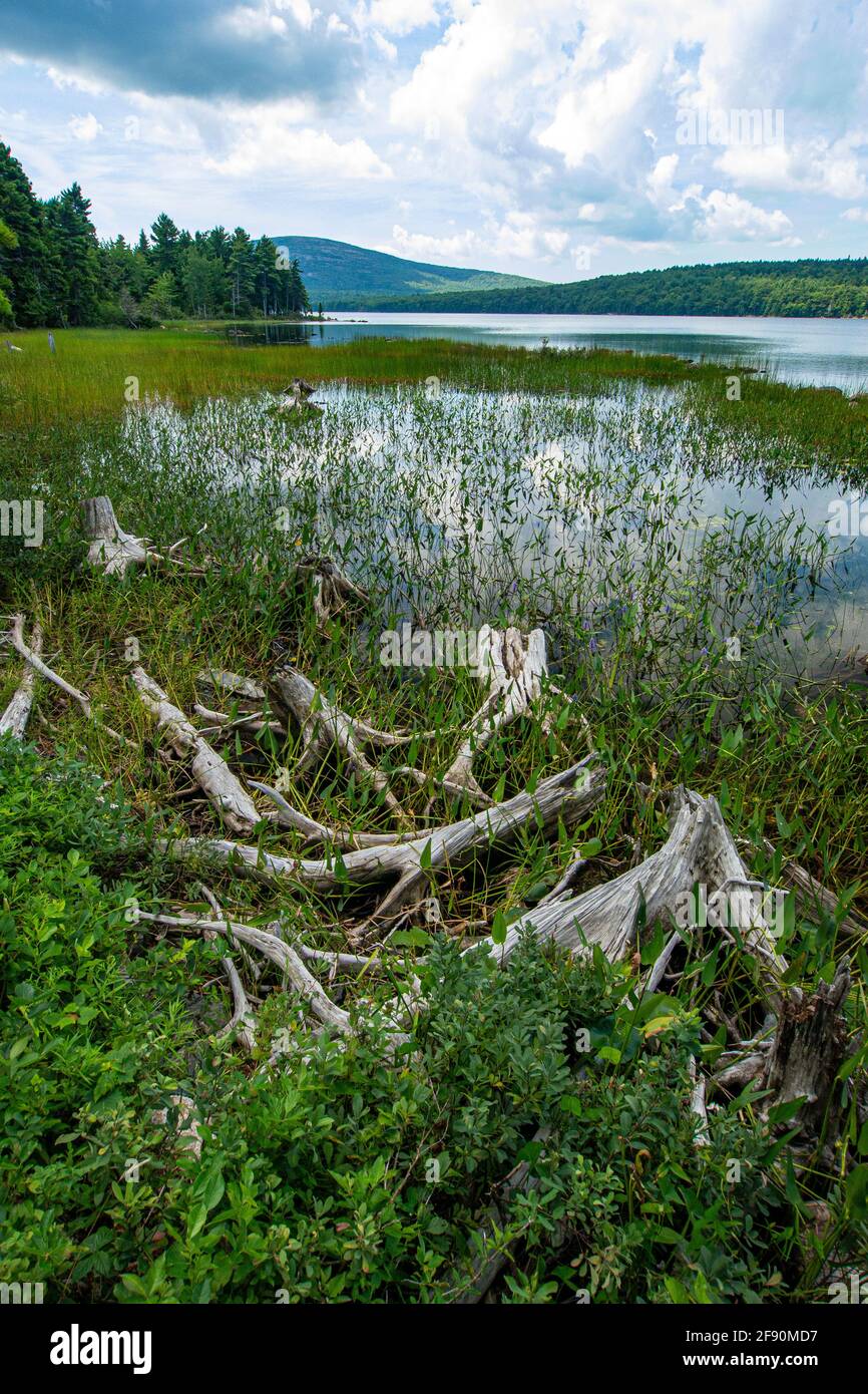 Eagle Lake, Acadia National Park, Maine Stock Photo Alamy