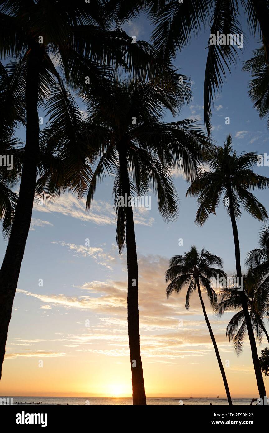 Waikiki beach sunset honolulu hi-res stock photography and images - Alamy