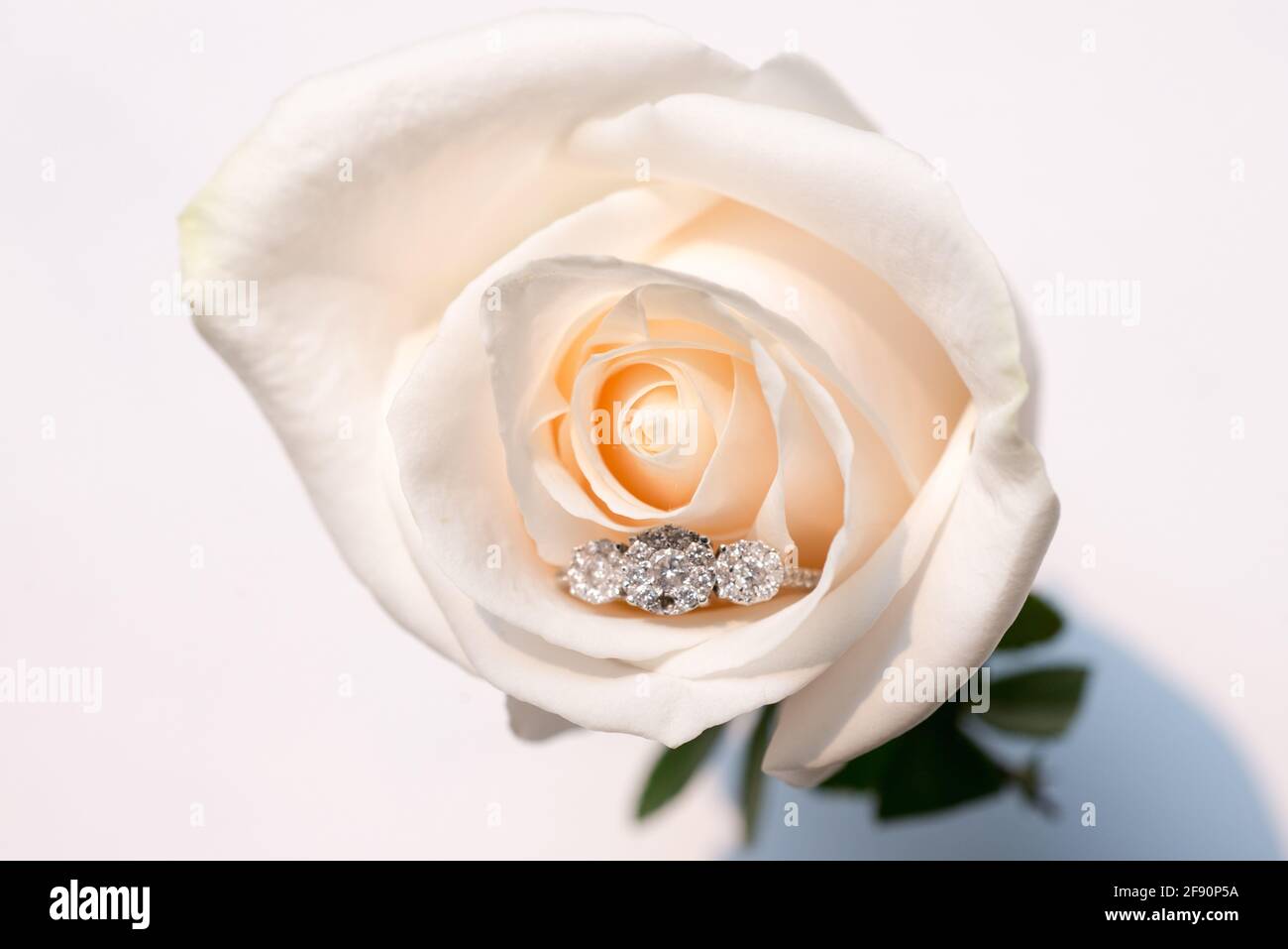 Engagement Pink Rose with Ring Inside PowerPoint Template, Backgrounds &  Google Slides - ID 0000016360 - SmileTemplates.com