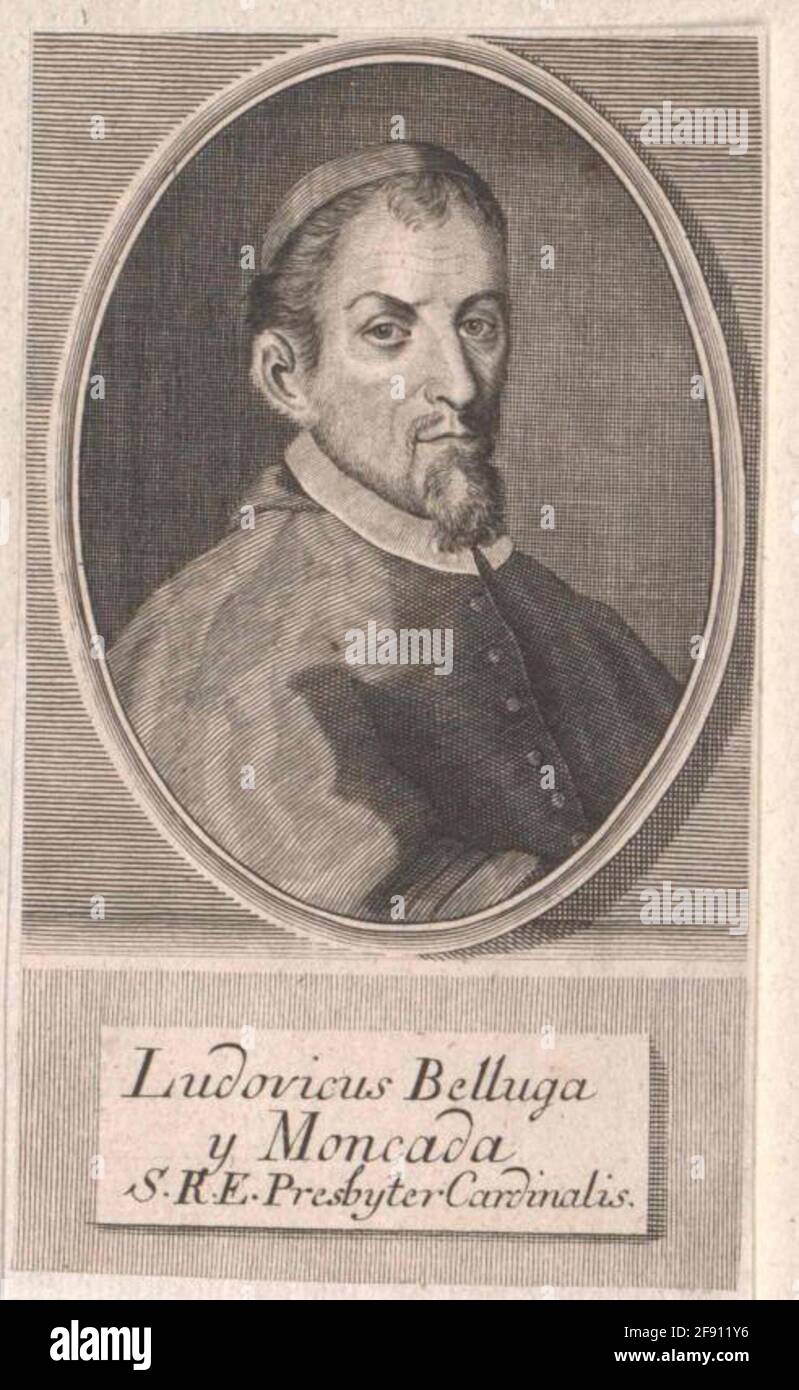 Belluga y Moncada, Luis Antonio Stecher Bernigeroth, Johann Martin
