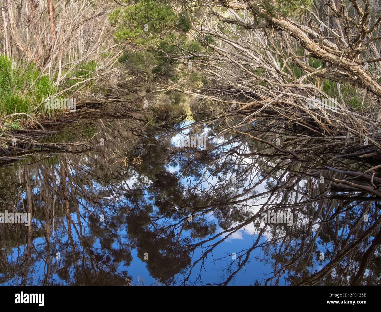 Water reflection of a blue sky and a few white clouds in Black Fish Creek - Wilsons Promontory, Victoria, Australia Stock Photo