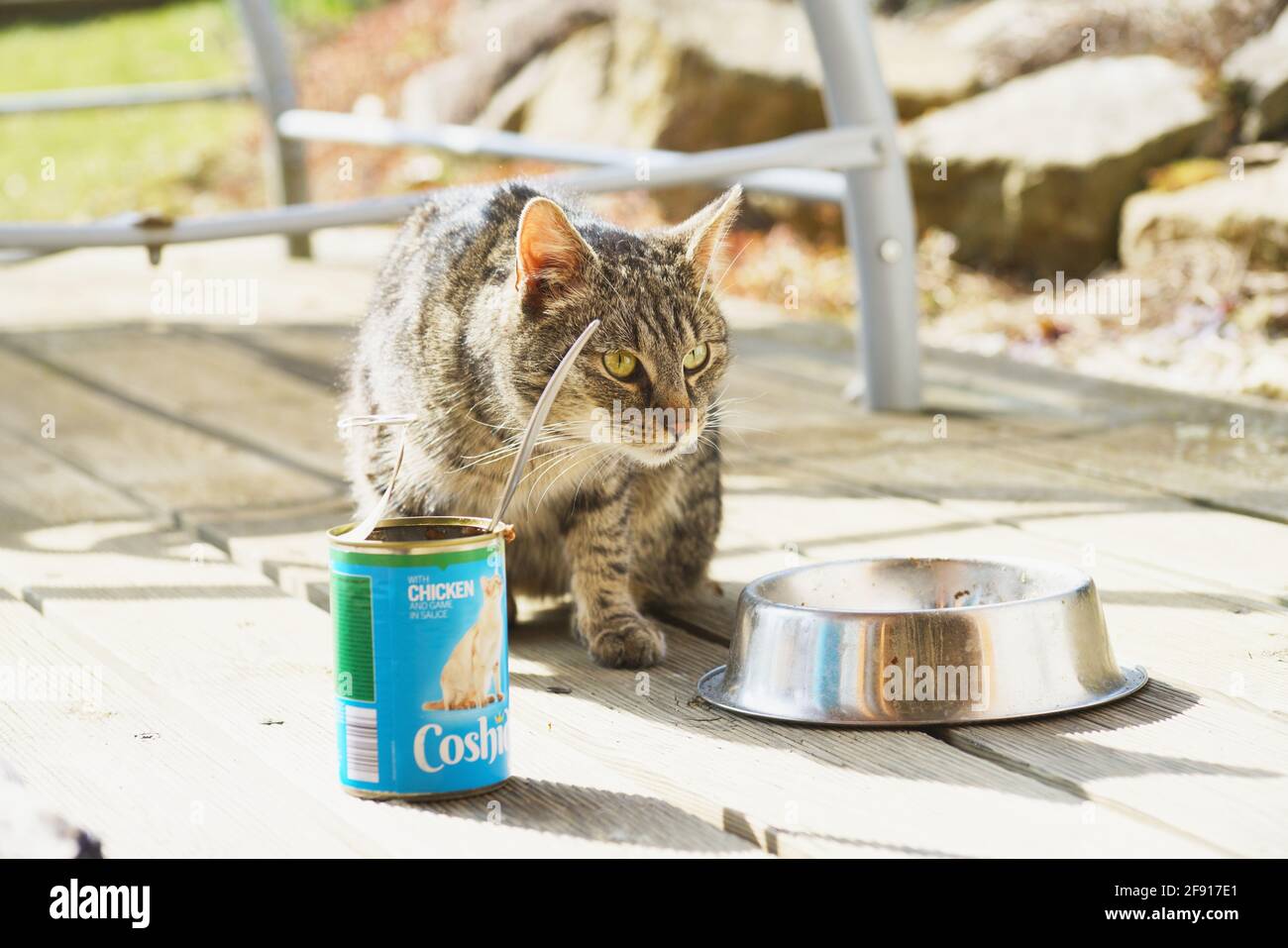 Coshida cat food hi-res stock photography and images - Alamy