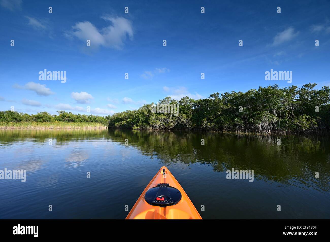 Afternoon kayaking on Nine Mile Pond in Everglades National Park, Florida. Stock Photo