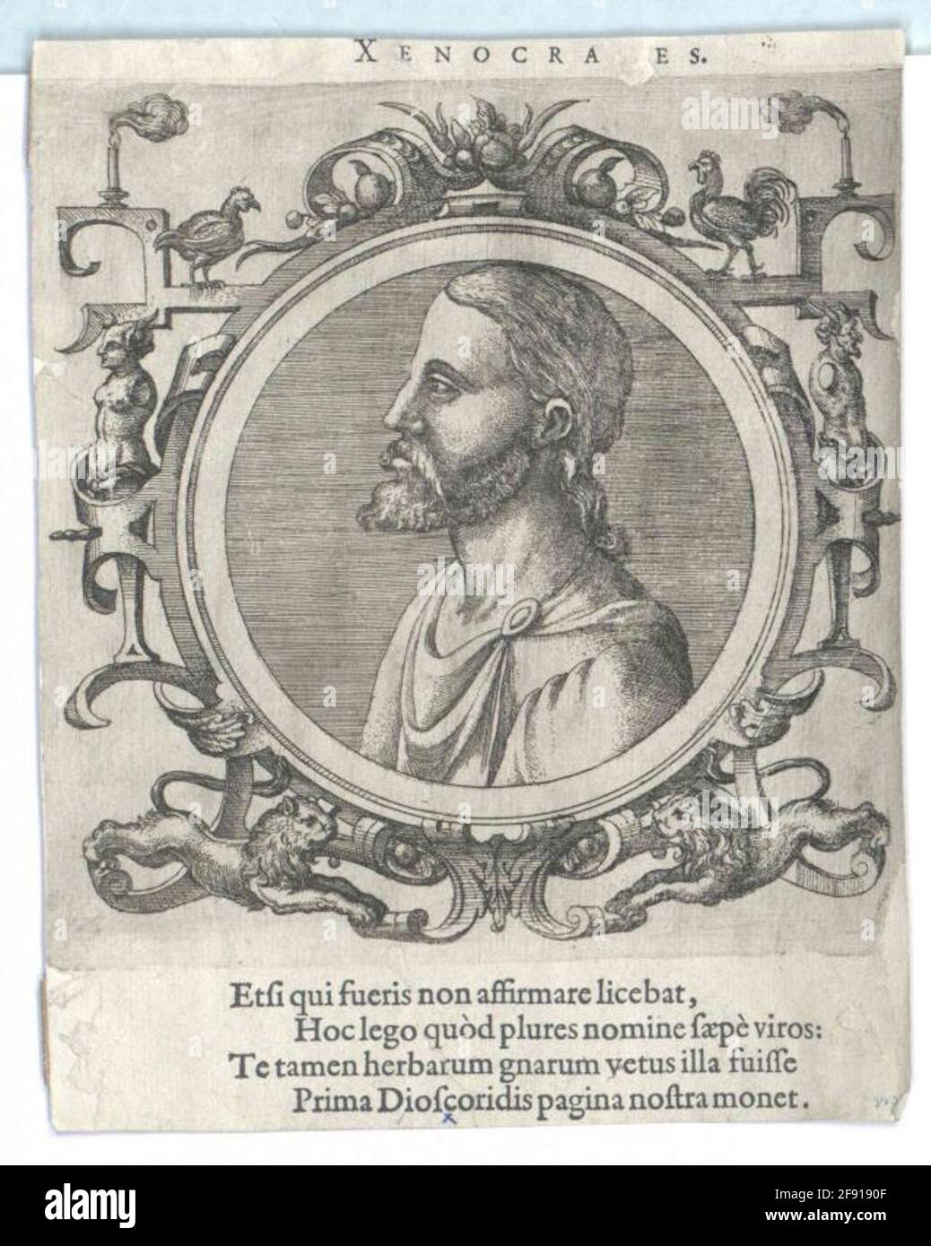 Xenocrates of Chalkedon Stock Photo Alamy