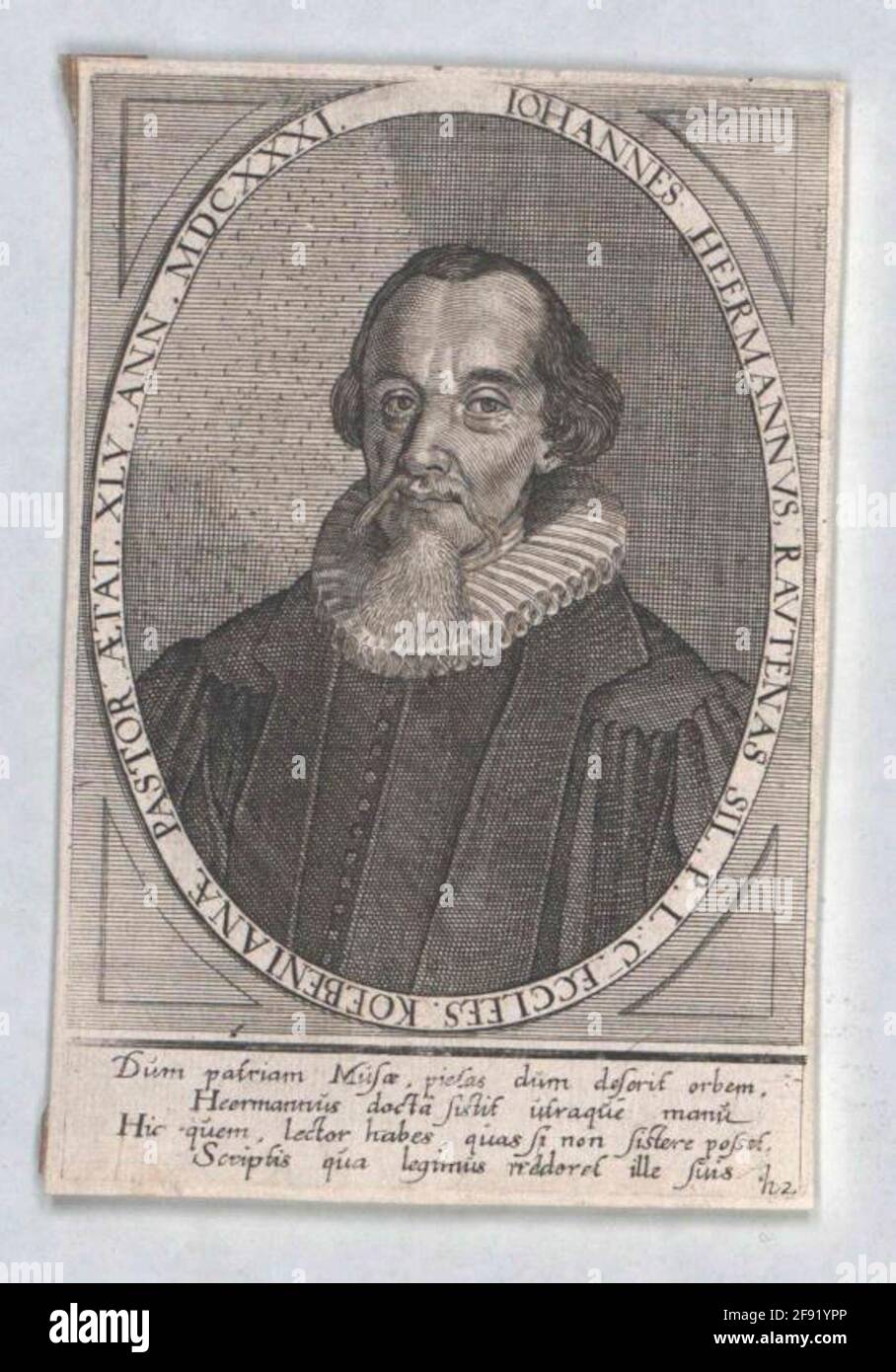 Heermann hires stock photography and images Alamy