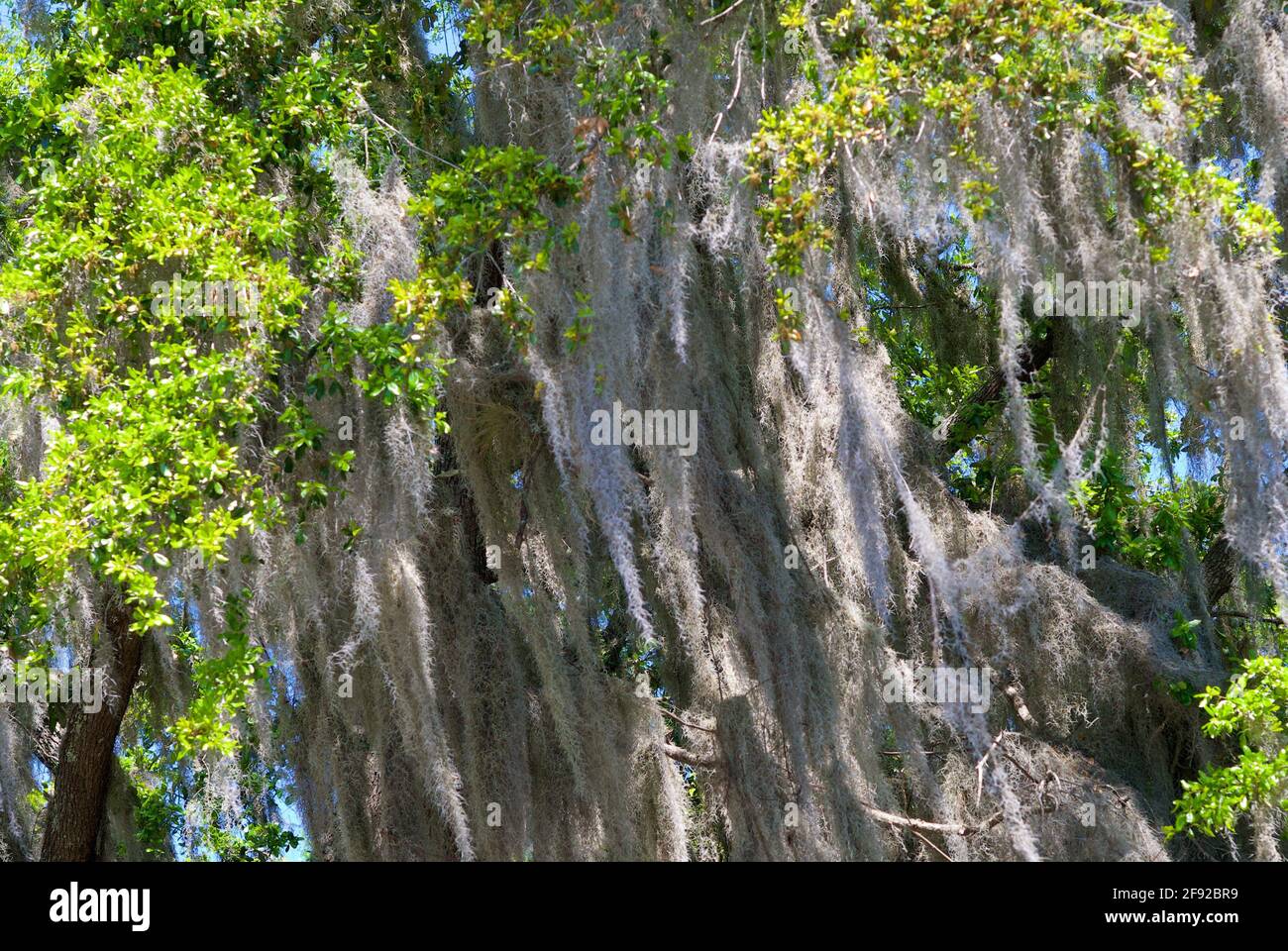 Gentle breeze hires stock photography and images Alamy