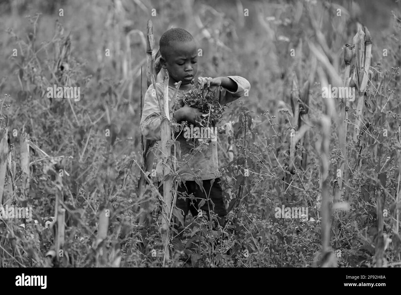 African young children Stock Photo