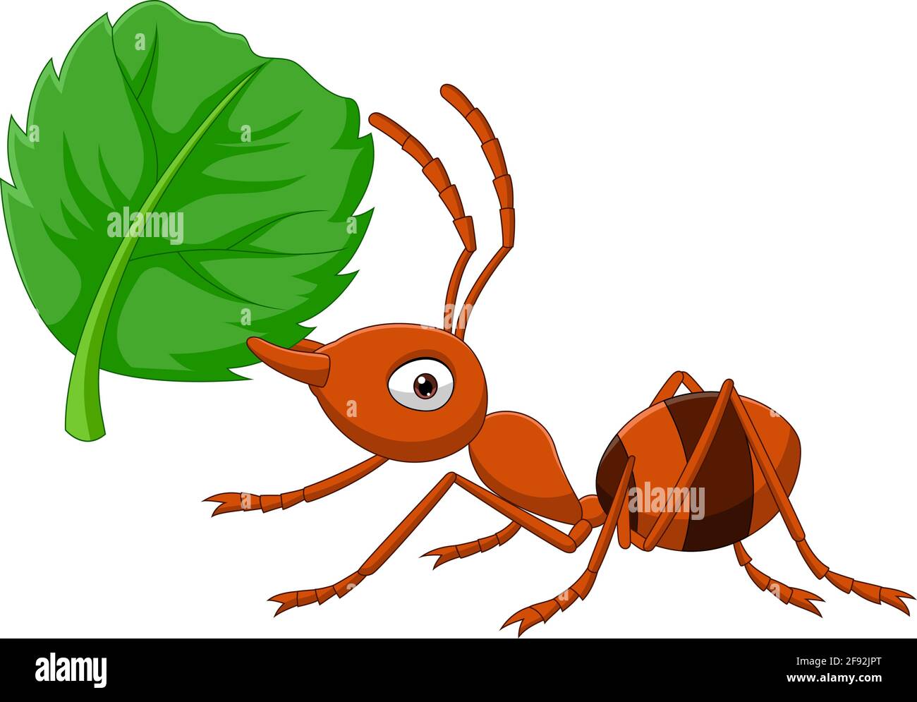 Cartoon ant with green leaf Stock Vector