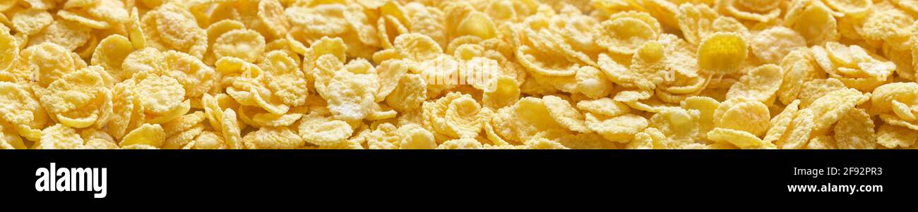 Crispy cornflakes. Top view. Banner design. Stock Photo