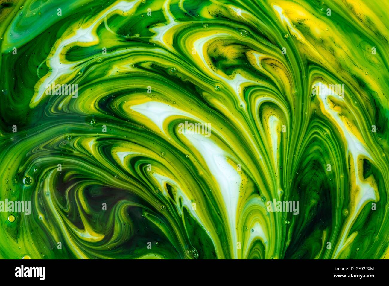 Abstract painted background, fluid art, green and yellow liquid paint, ink surreal wavy pattern, colorful ornament with bubbles, drawn, wallpaper, mod Stock Photo