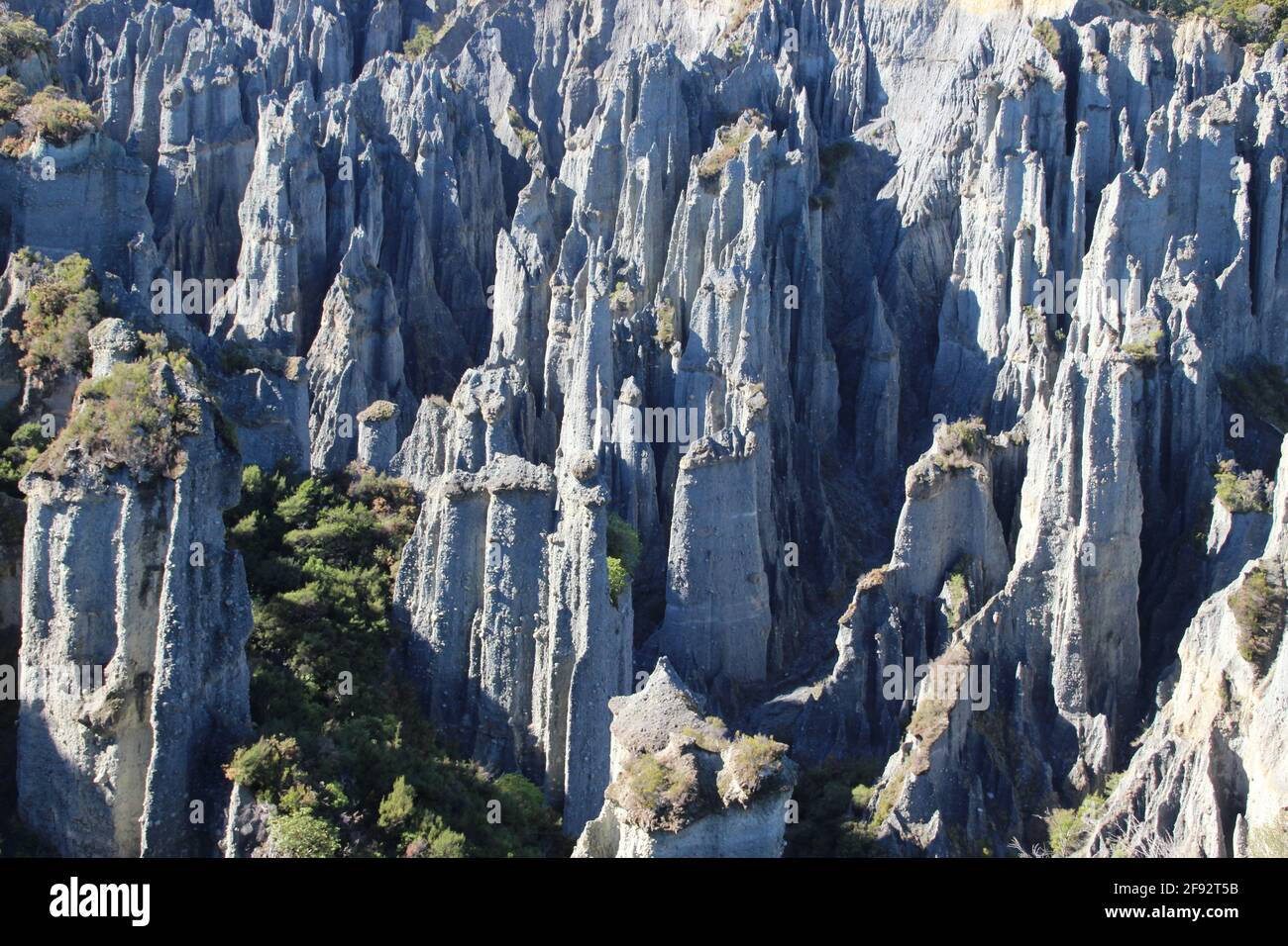 Putangirua Pinnacles New Zealand Stock Photo Alamy