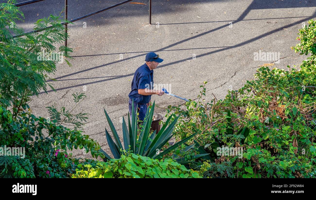 Airlie Beach, Queensland, Australia April 2021 Man performing garden