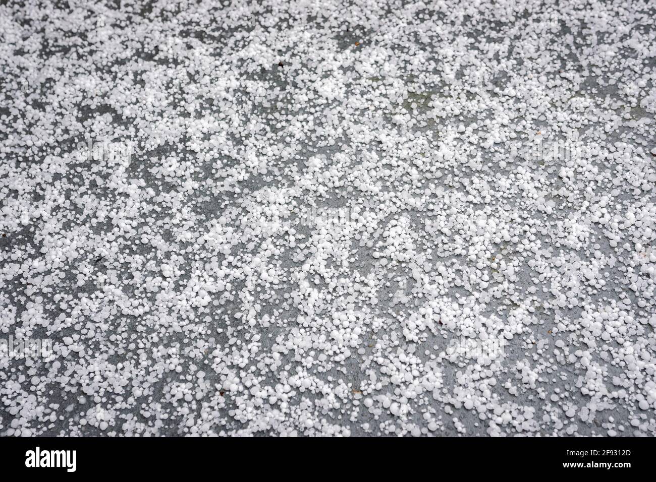 Hailstones on the ground after a wintry shower Stock Photo