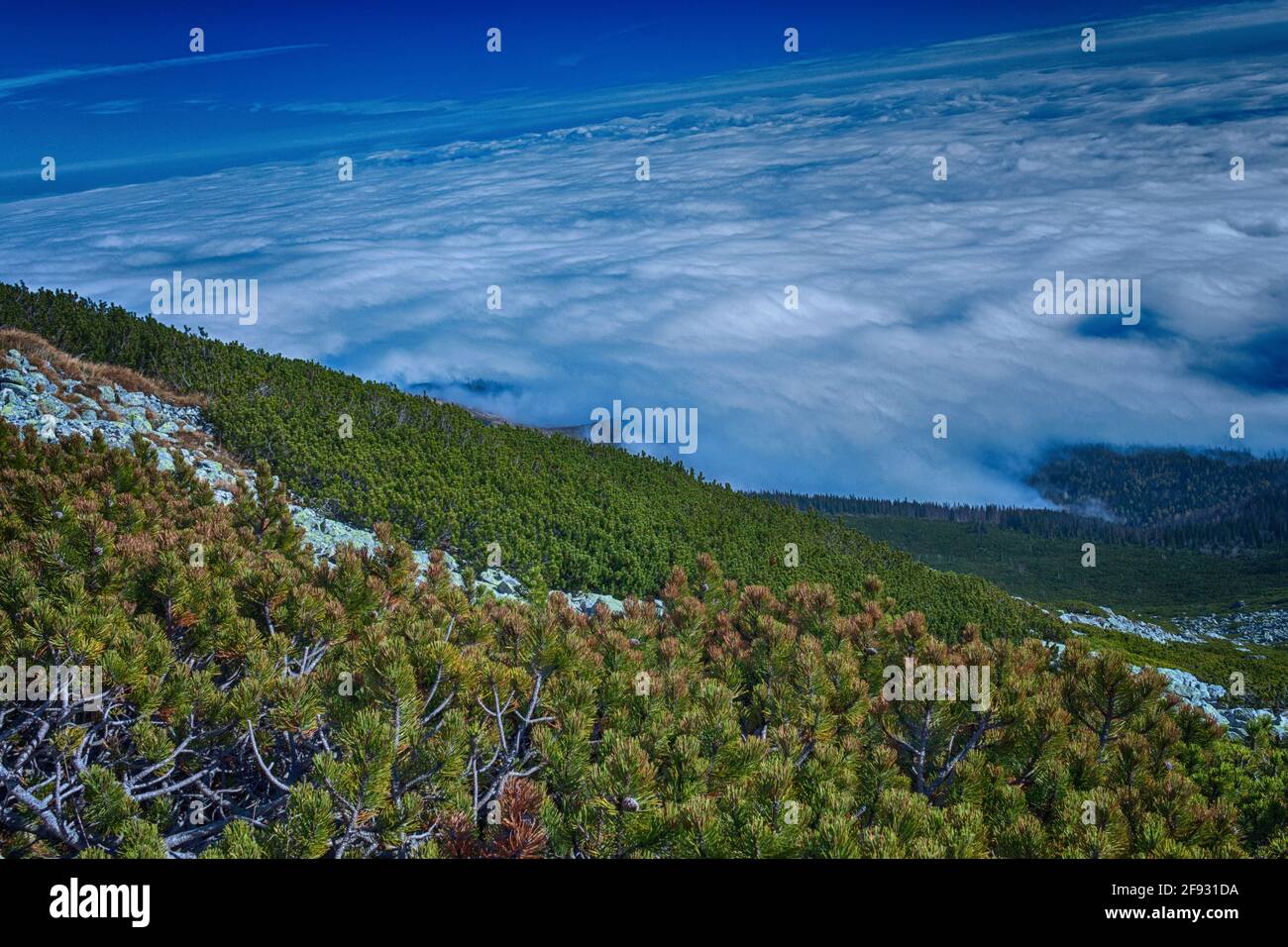 Summer landscape in mountains and the dark blue sky with clouds Stock Photo