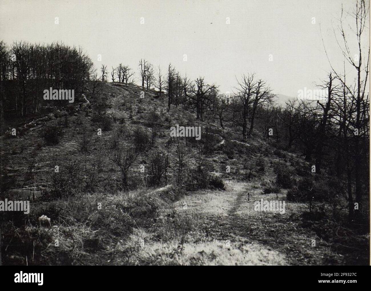 World war ii combat photos hi-res stock photography and images - Alamy