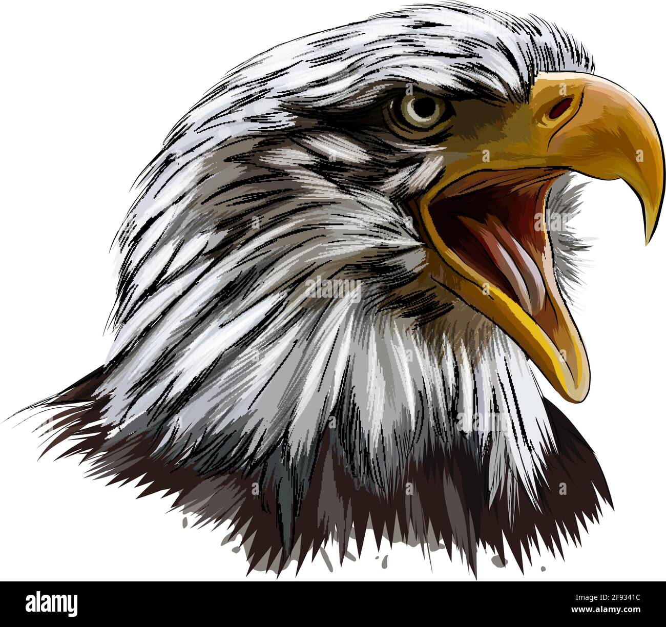 Bald eagle head portrait from a splash of watercolor, colored