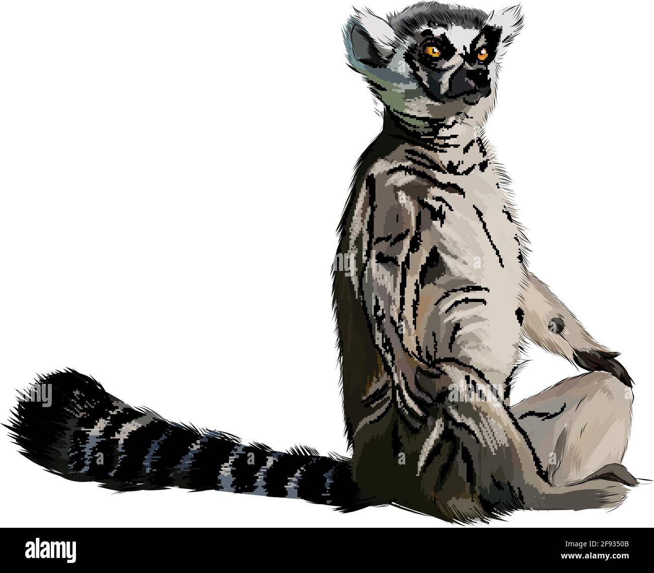 Lemur from a splash of watercolor, colored drawing, realistic. Vector illustration of paints Stock Vector