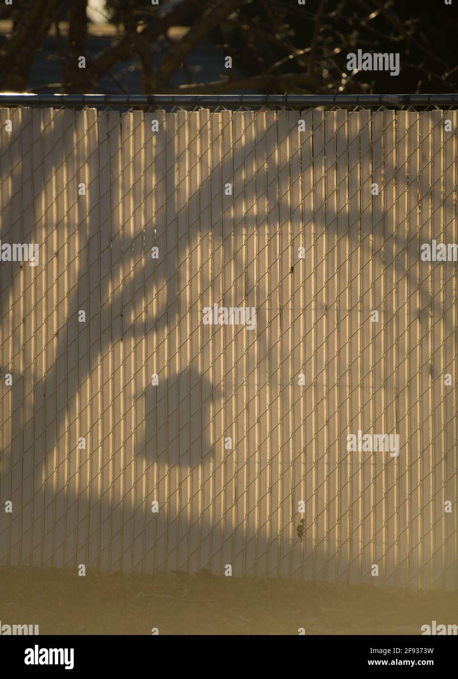 shadows on fence of bird feeder hanging on tree in urban neighbourhood white fence black shadow of tree branches empty space for type morning sunlight Stock Photo