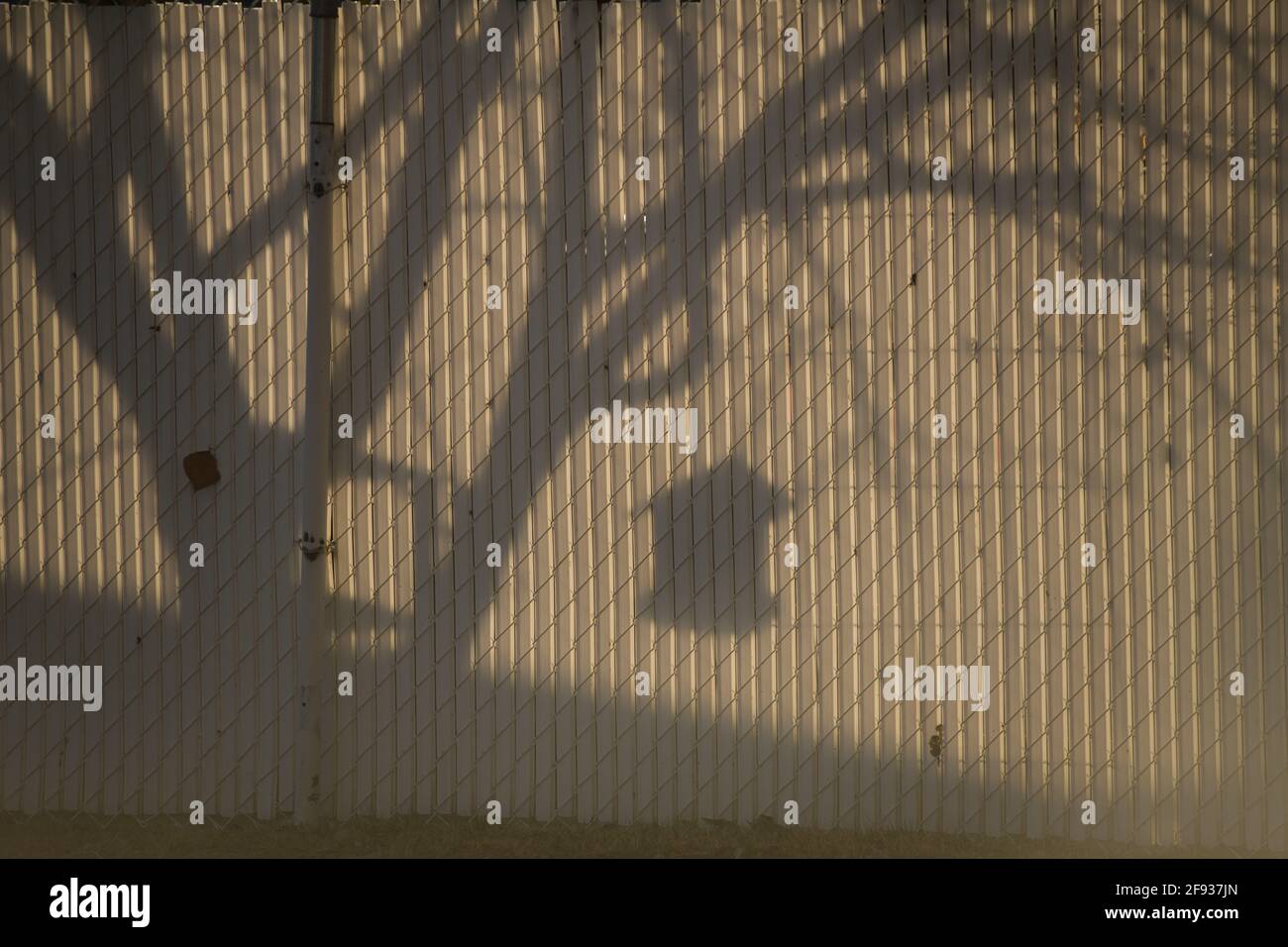 shadows on fence of bird feeder hanging on tree in urban neighbourhood white fence black shadow of tree branches empty space for type morning sunlight Stock Photo