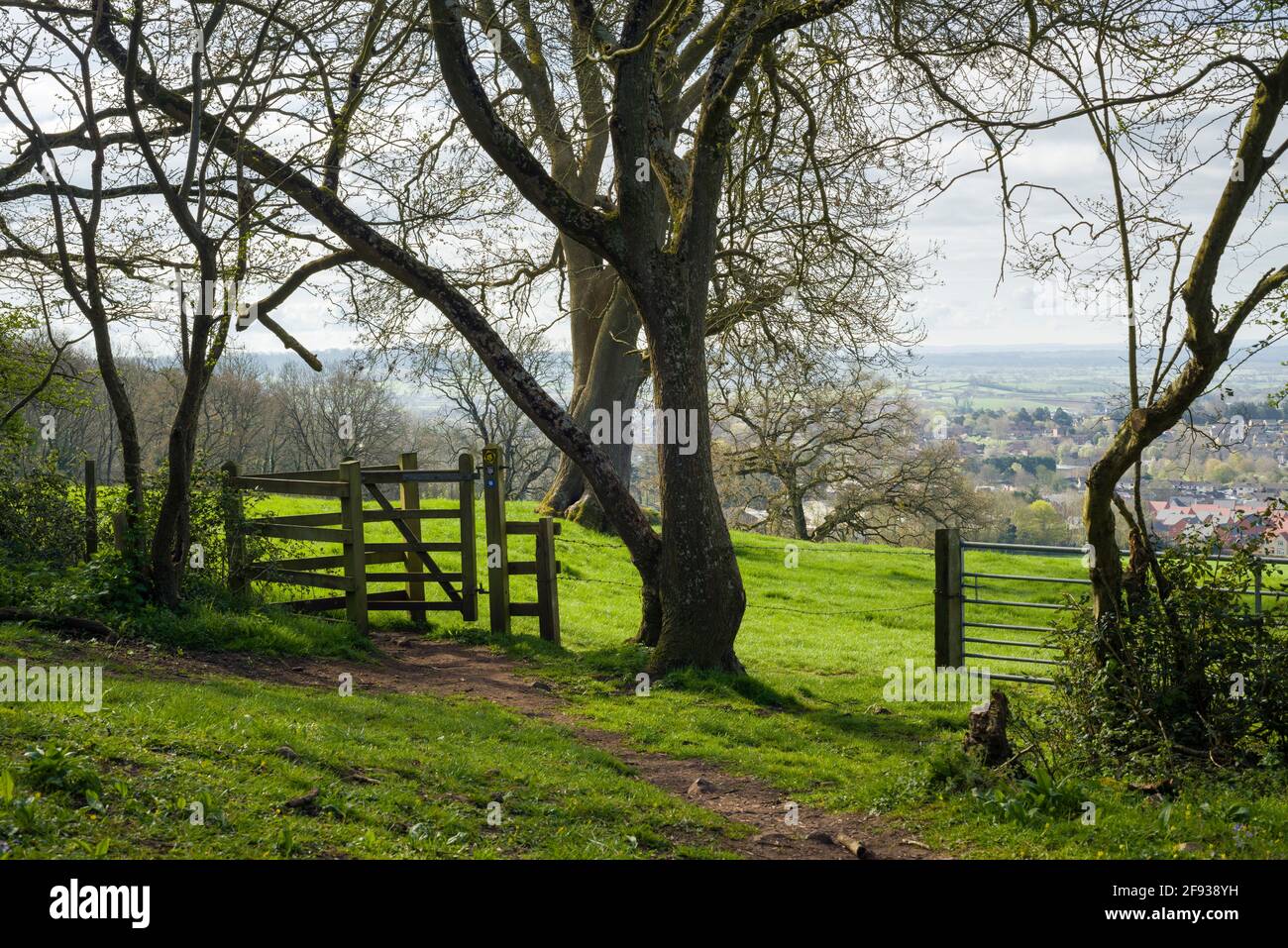 A kissing gate on the West Mendip Way on Milton Hill on the edge of the Mendip Hills overlooking the City of Wells, Somerset, England. Stock Photo