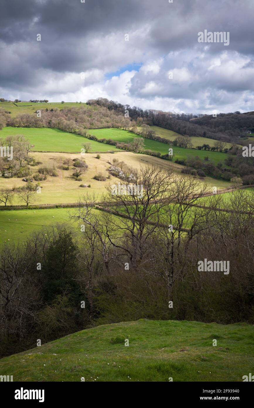 The southern slopes of the Mendip Hills in early spring viewed from Milton Hill above the City of Wells, Somerset, England. Stock Photo