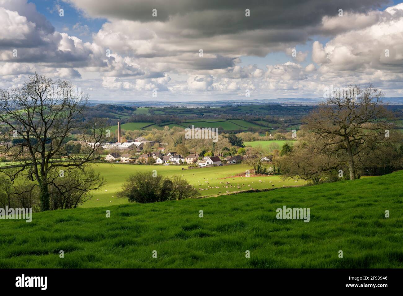 St Cuthberts Paper Mill on the outskirts of the City of Wells viewed from the West Mendip Way on Milton Hill on the edge of the Mendip Hills, Somerset, England. Stock Photo