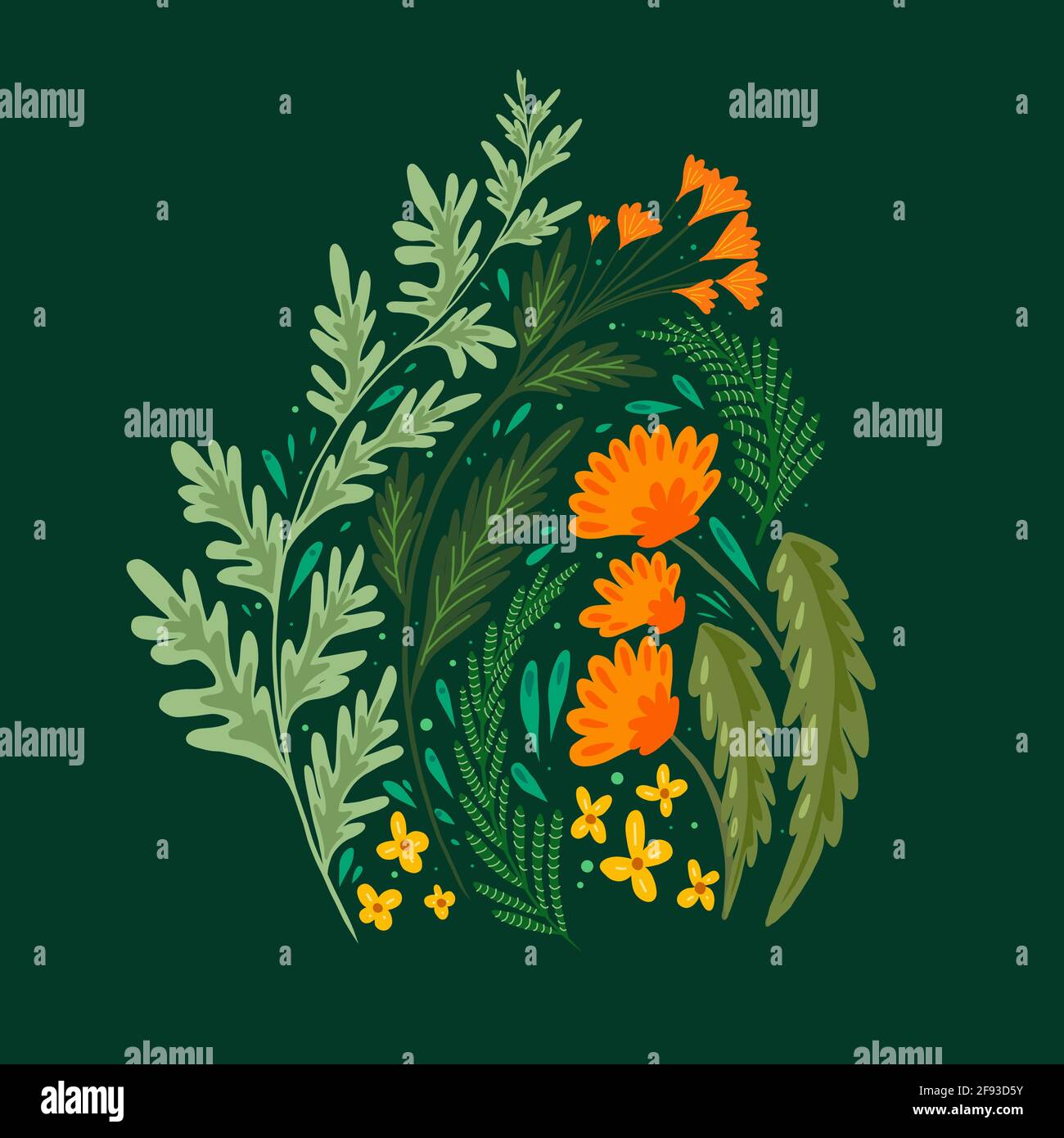 Flat illustration of grass and flower fields. A bouquet of wormwood, fennel, dandelion and St. Johns wort on a dark green background. Vector summer an Stock Vector