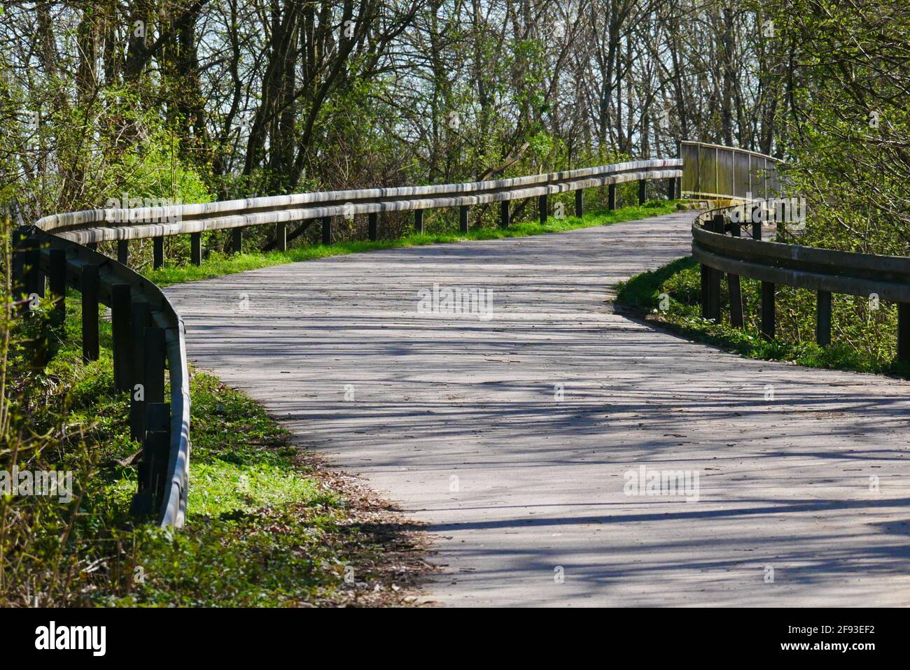 Springtime Forest Bridge road through the forest in springtime up to a bridge in sunlight and ...
