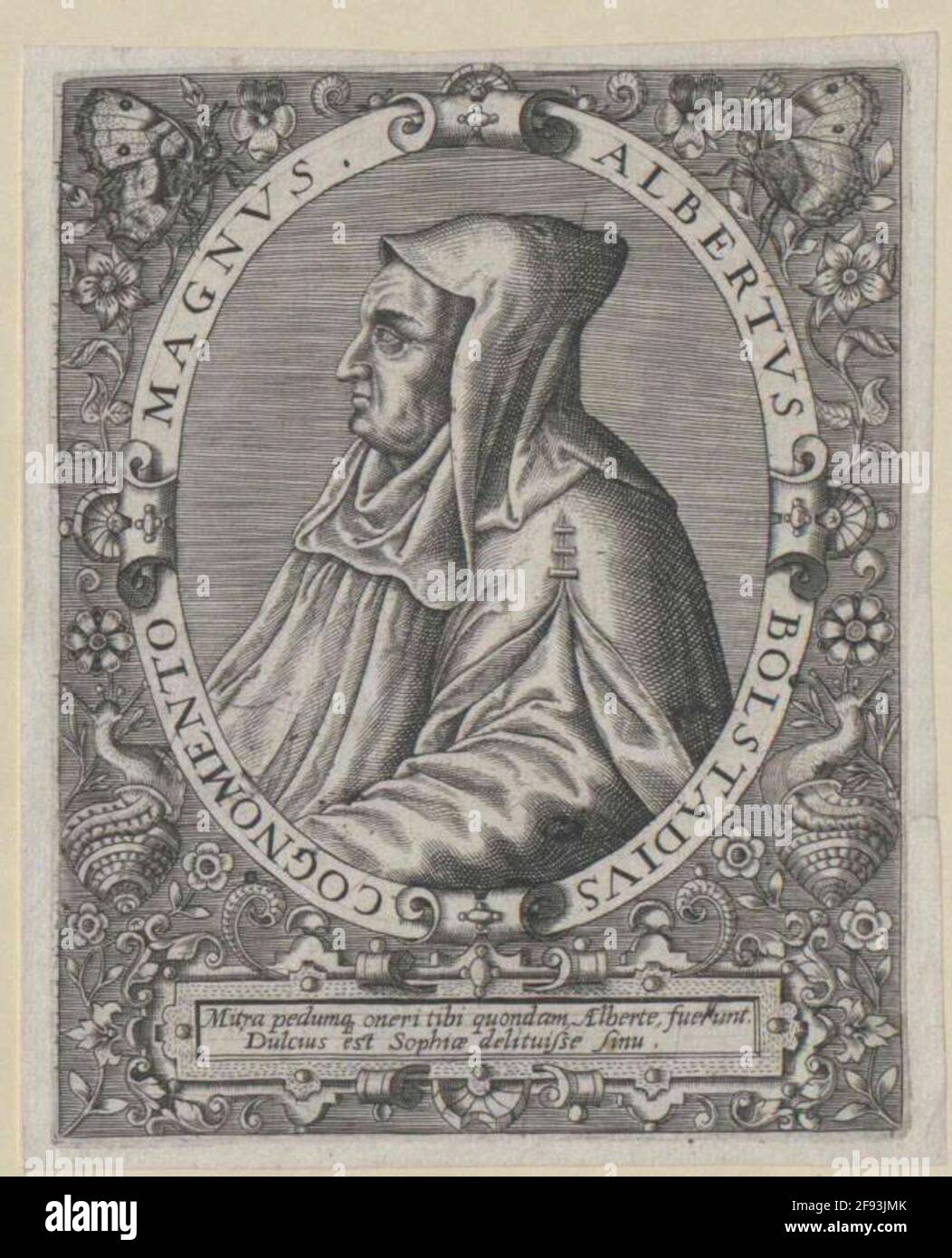 Albertus Magnus, Holy Stecher: Bry, Theodor Destecher: Boissard, Robert Stock Photo