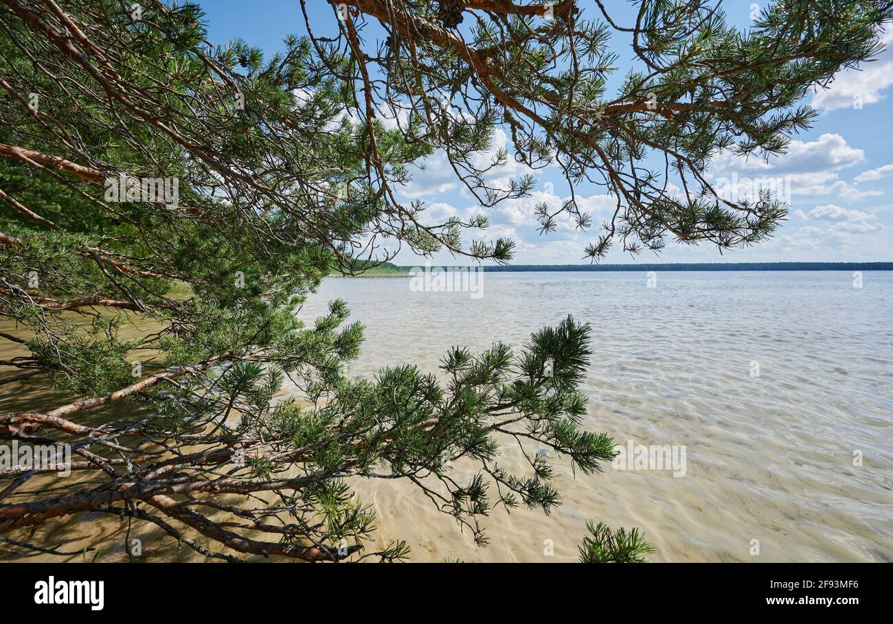 Green lake beach hi-res stock photography and images - Alamy