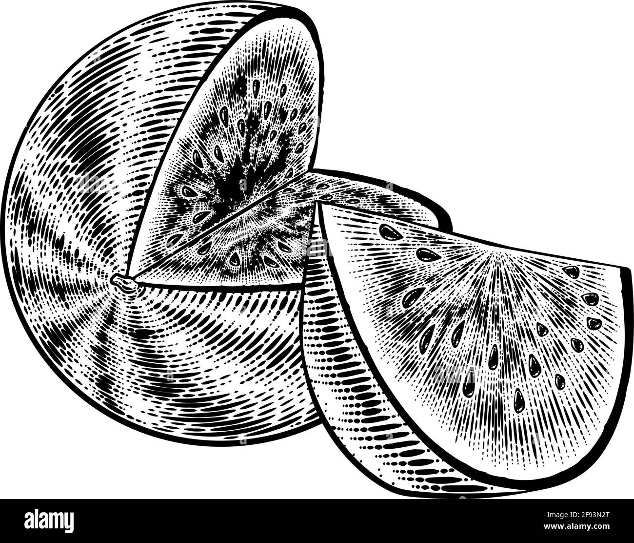 Watermelon Vintage Woodcut Engraved Style Drawing Stock Vector