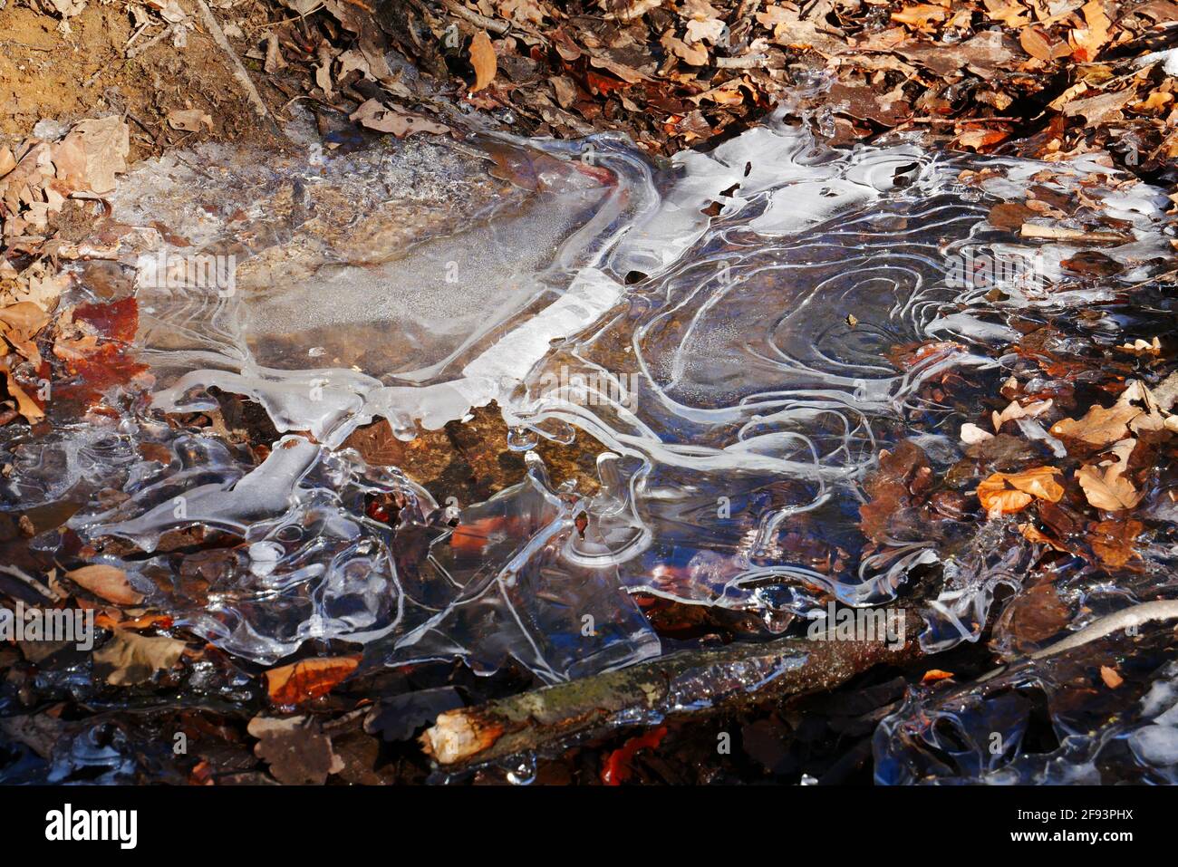 Ice sheets formation with structure on a stream in the forest Stock Photo
