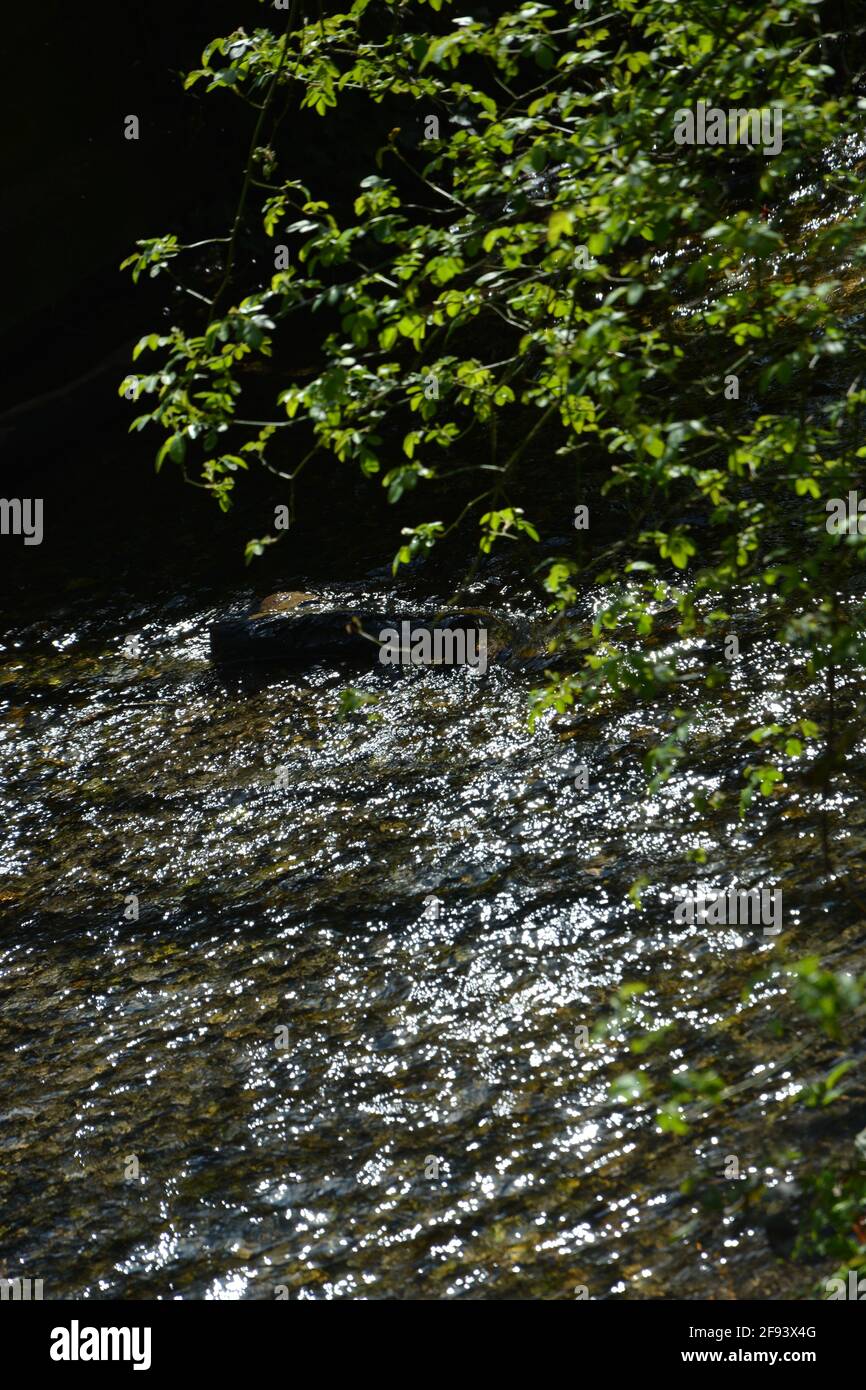 Uk spring landscape hi-res stock photography and images - Alamy