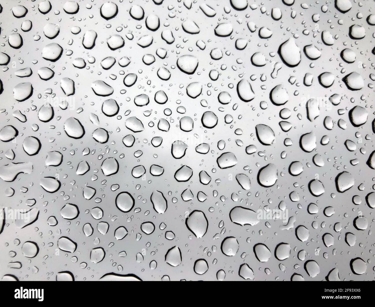 rain drop on the glass Stock Photo