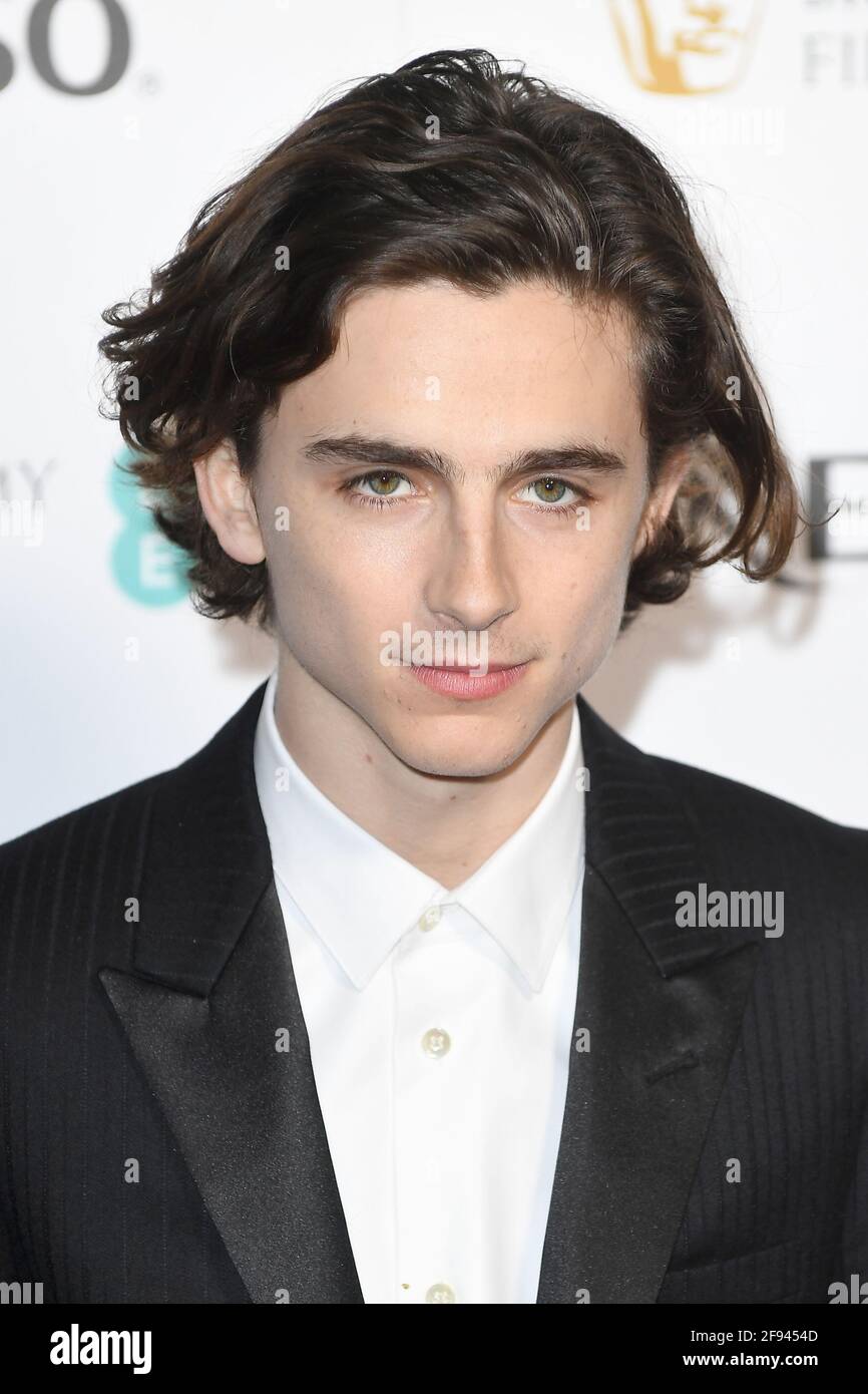 Timothee Chalamet attends the British Academy Film Awards Nominees Party at Kensington Palace in London. 17th February 2018 © Paul Treadway Stock Photo