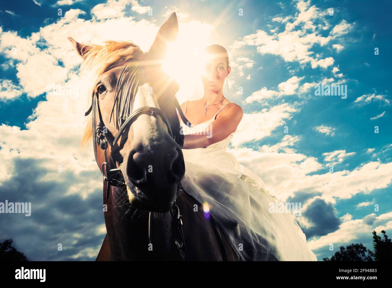 Young Bride in wedding dress riding a horse, backlit picture, dreamy mood Stock Photo