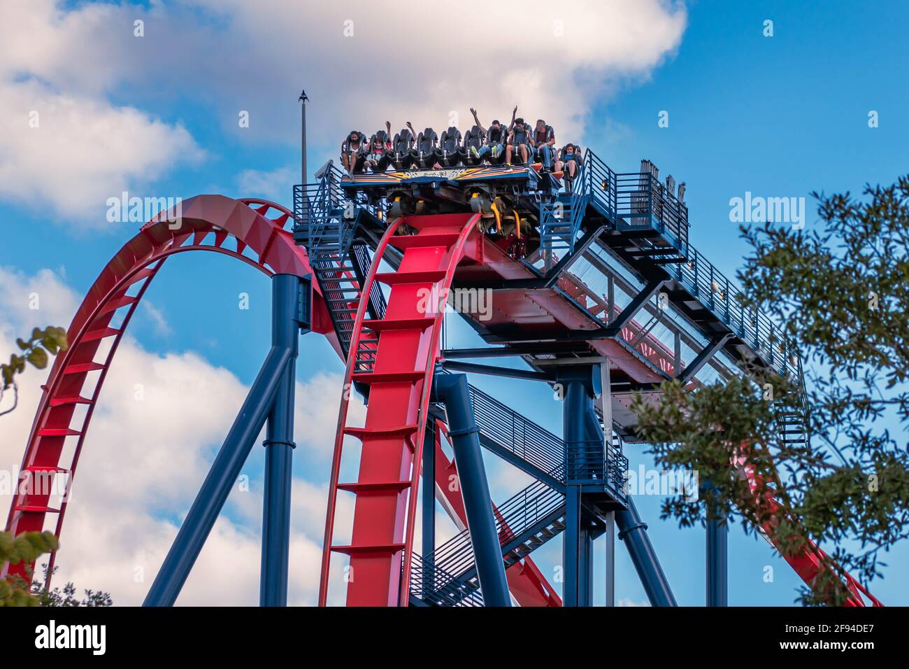 Busch gardens sheikra hi-res stock photography and images - Alamy