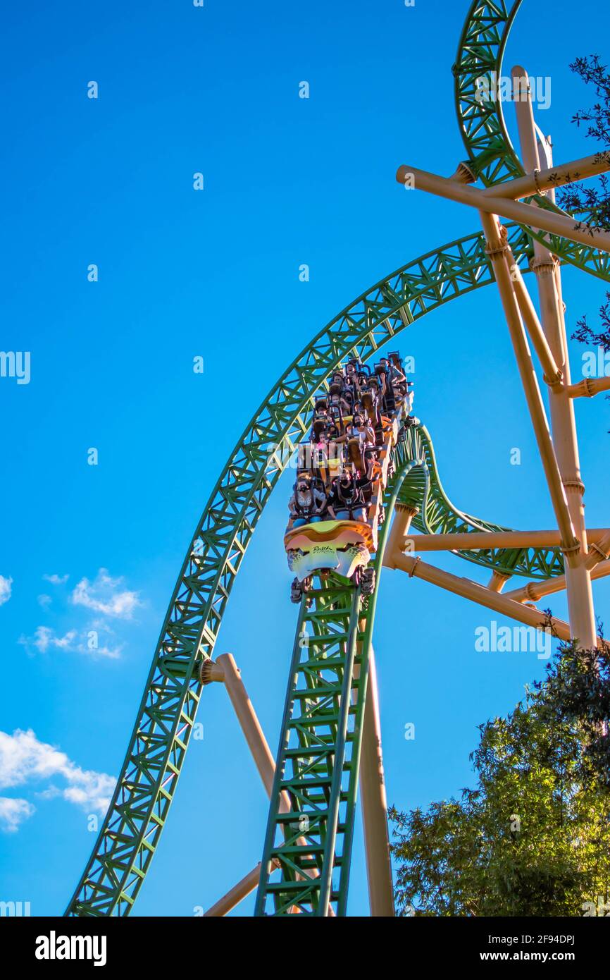 Busch gardens sheikra hi-res stock photography and images - Alamy