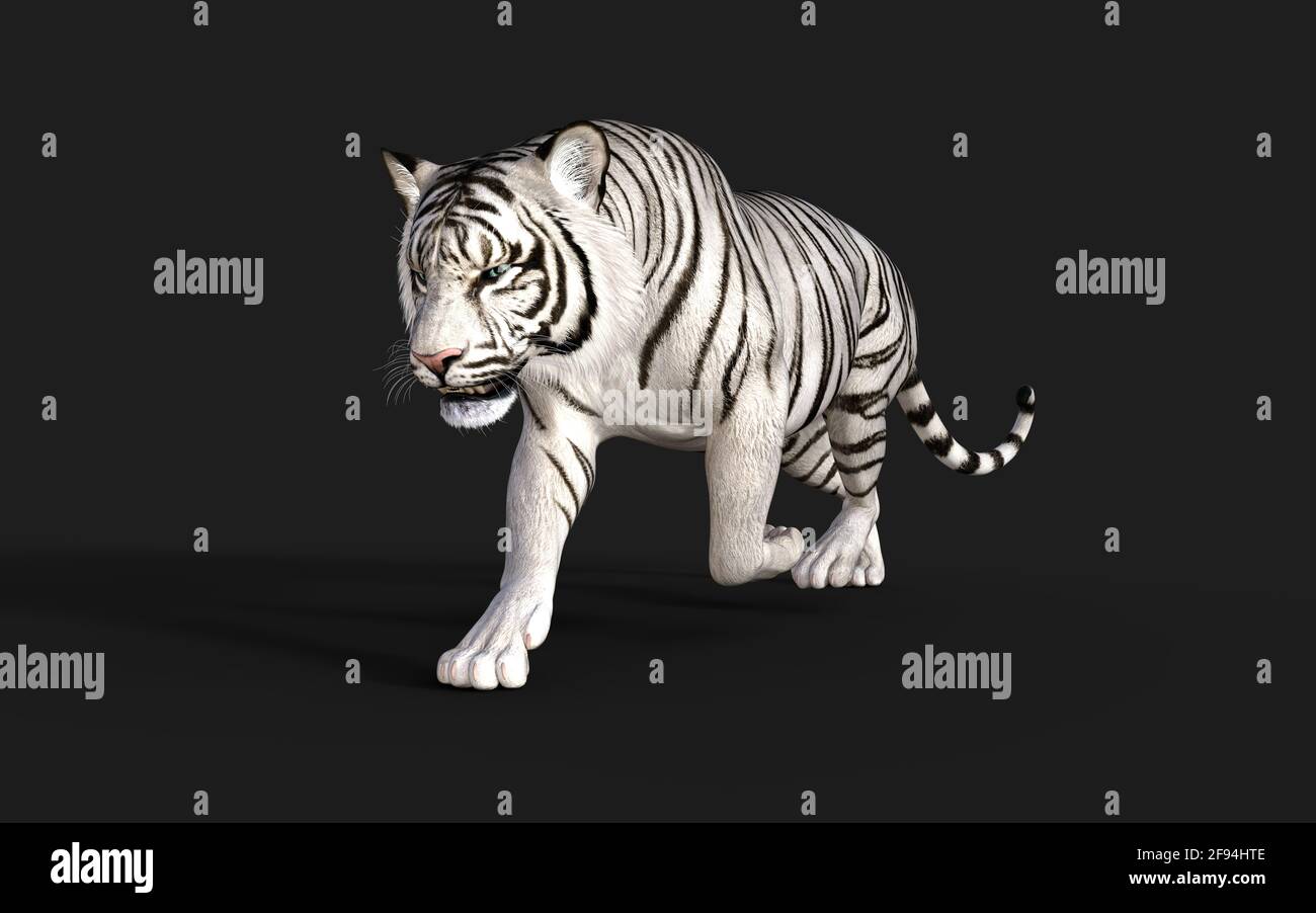 White Tiger 3D model