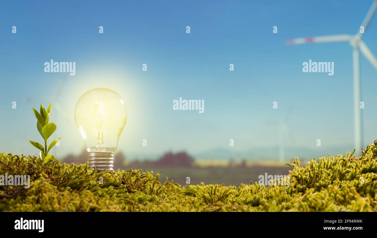 Clean energy concept. Lamp and young plant on moss background wind energy tribunes Stock Photo