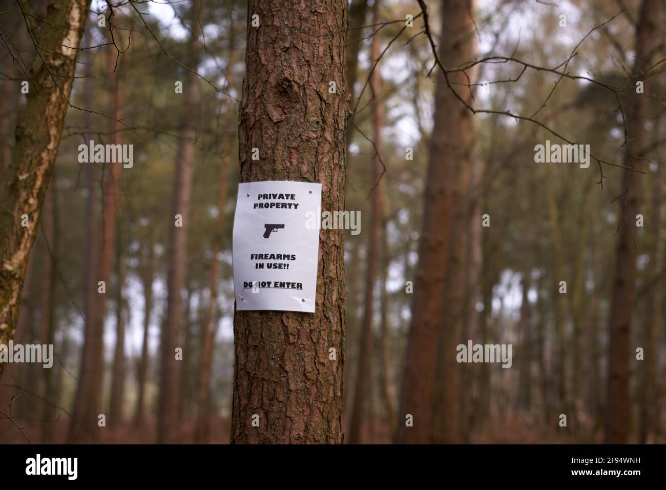 Warning signs on the edge of a wood about shooting in the area Stock Photo