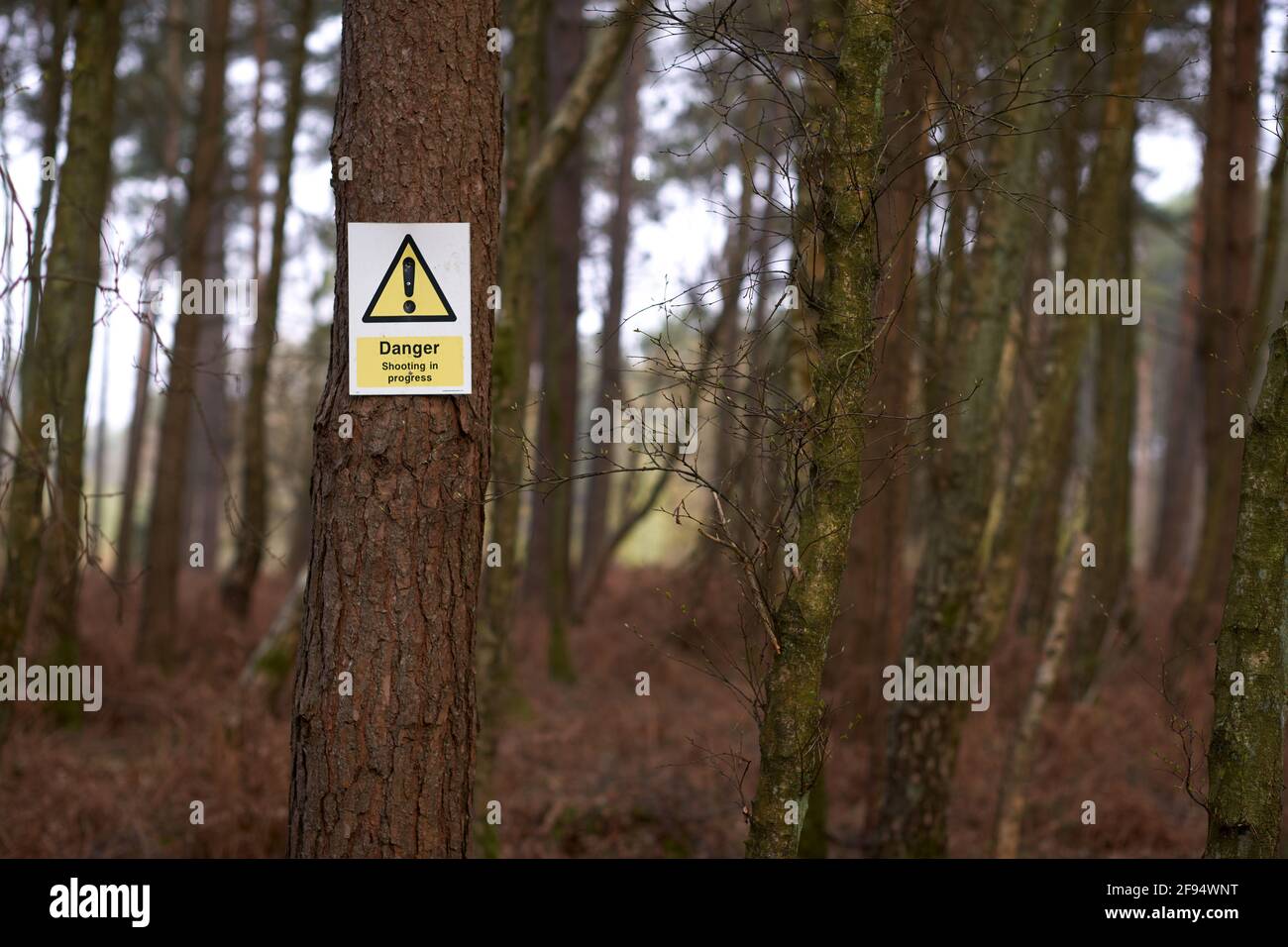 Warning signs on the edge of a wood about shooting in the area Stock Photo