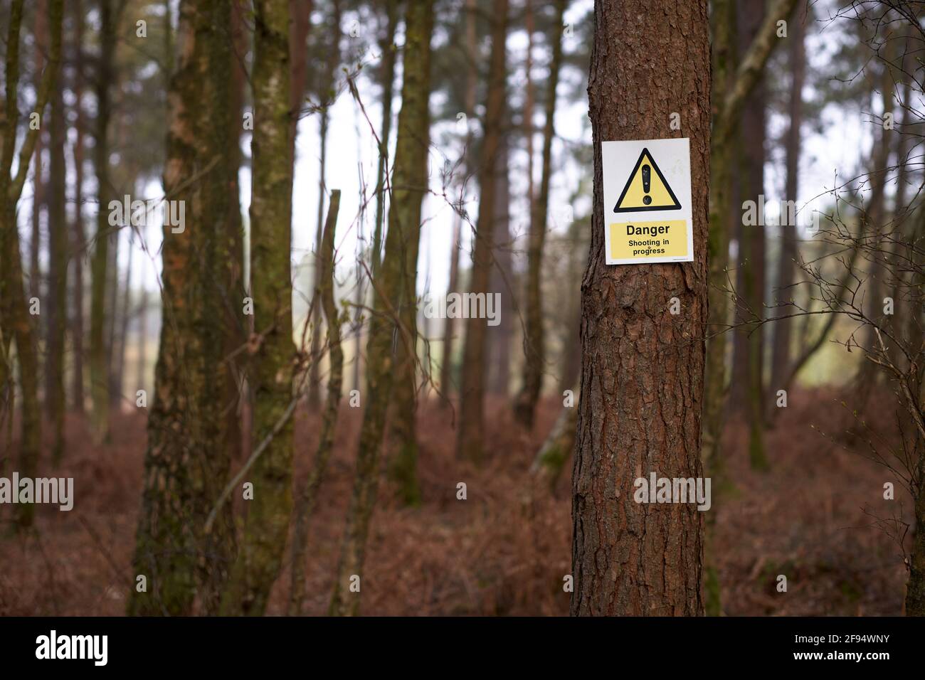 Warning signs on the edge of a wood about shooting in the area Stock Photo