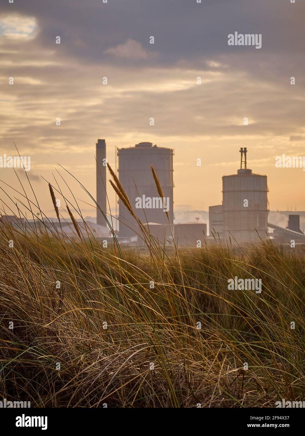 Dune grass ahead of silhouetted silos and a smokestack at Teesport, under a golden cloudscape. Stock Photo