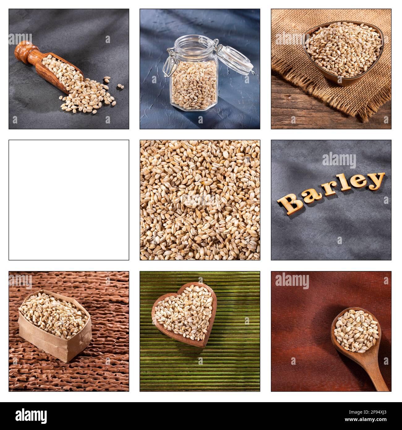 Hordeum vulgare - Creative collage of pearl barley images Stock Photo