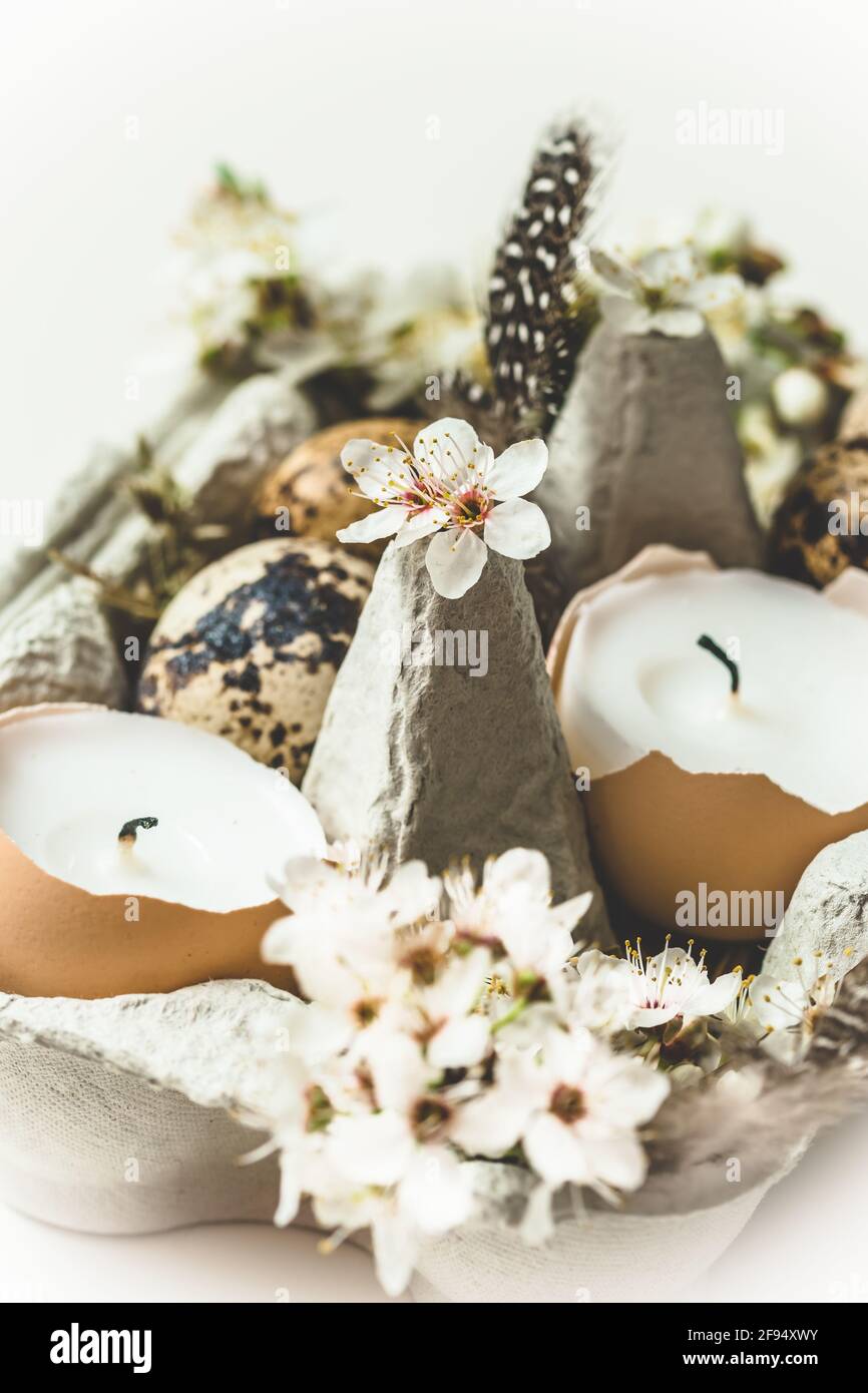 Candles in eggshells, quail eggs and white apple tree blossoms on a wooden tray as natural Easter decoration, vertical with white background Stock Photo