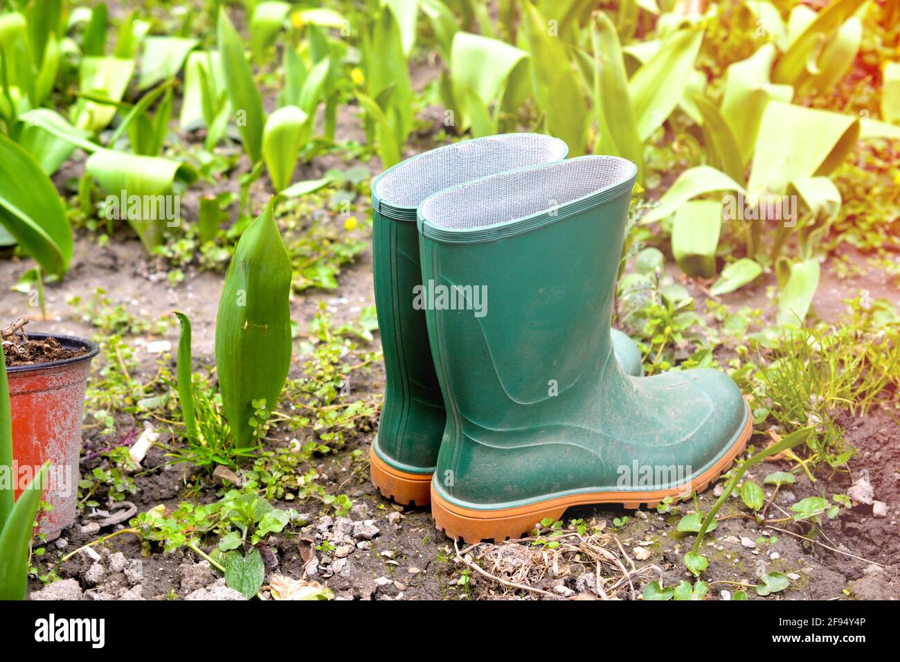 new green rubber boots in a garden image Stock Photo - Alamy